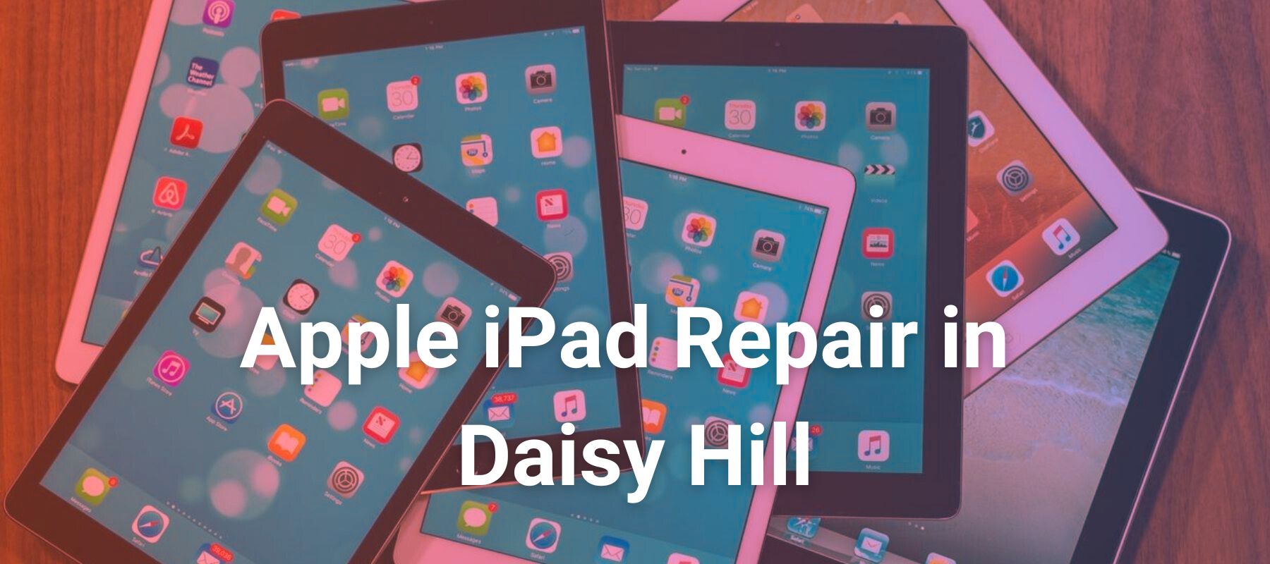 Apple iPad Repair in Daisy Hill